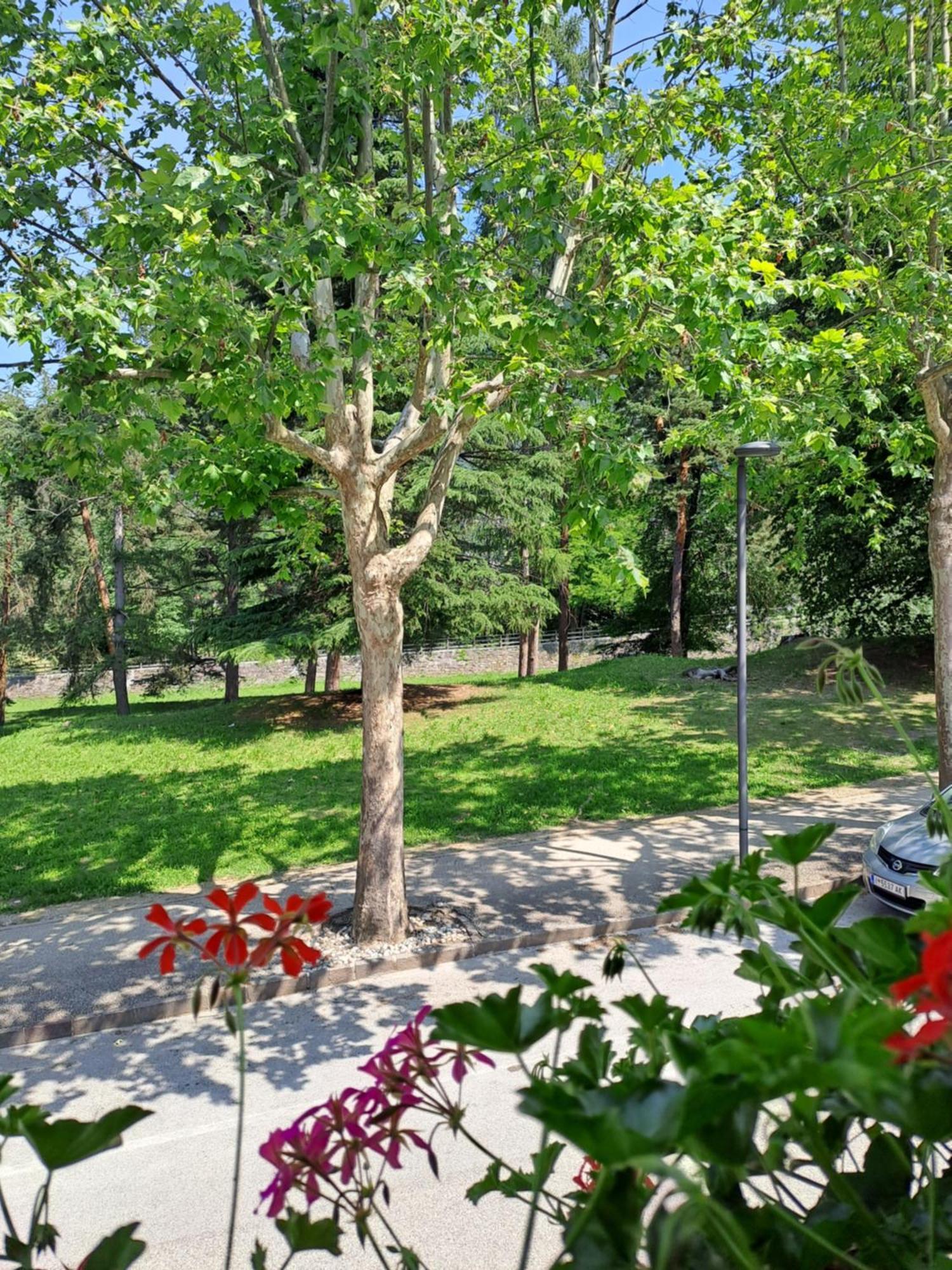 Casa Alby Apartment Levico Terme Bagian luar foto