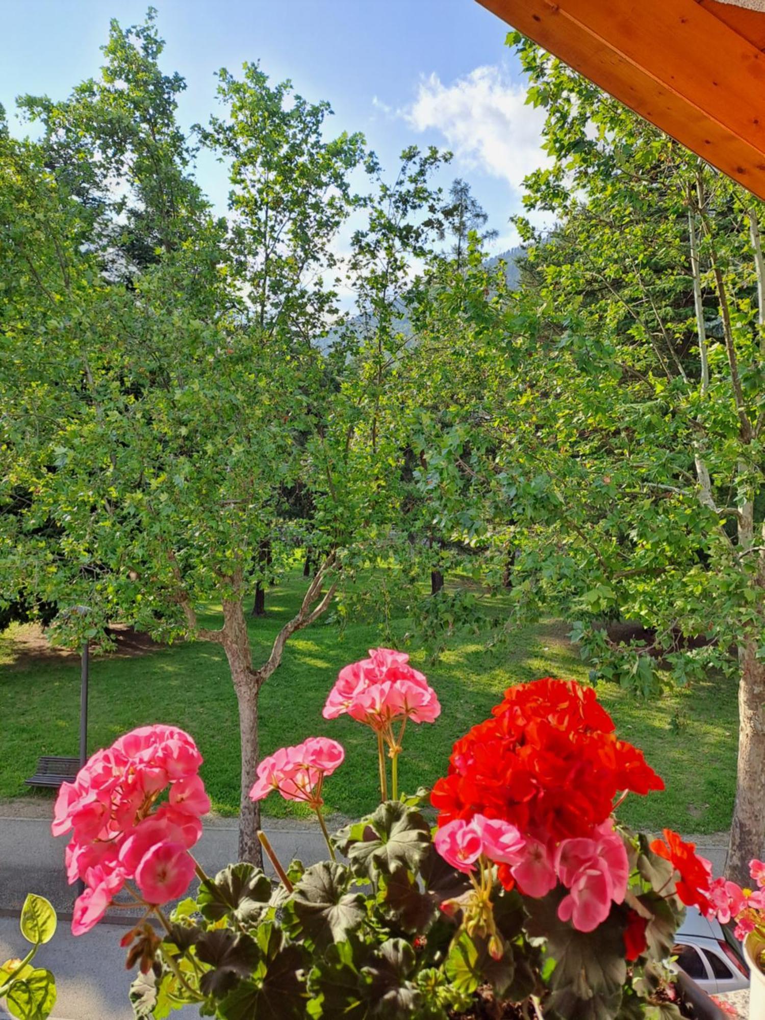 Casa Alby Apartment Levico Terme Bagian luar foto