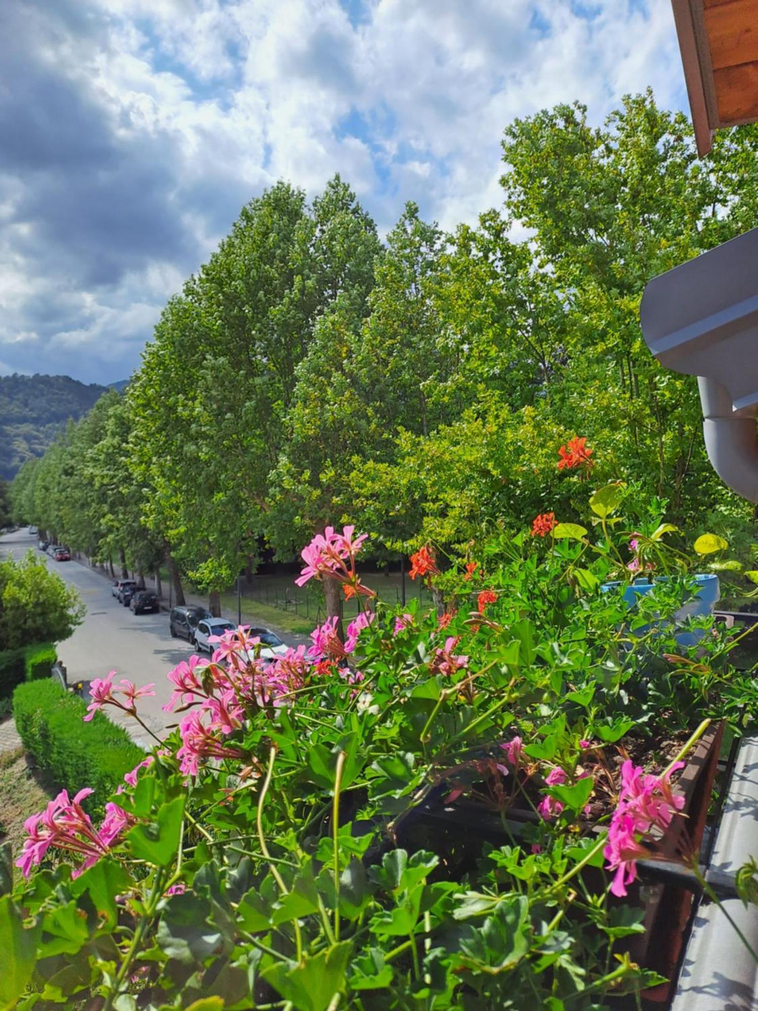 Casa Alby Apartment Levico Terme Bagian luar foto
